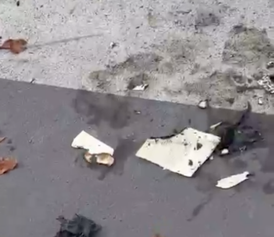 Germanedo: vandalismi al playground, incendiati i libri del book crossing germanedo-vandalismi-libri book crossing