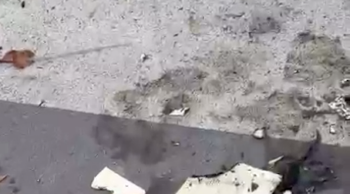 Germanedo: vandalismi al playground, incendiati i libri del book crossing germanedo-vandalismi-libri book crossing