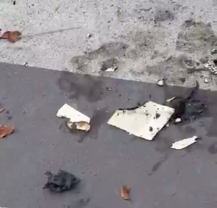 germanedo-vandalismi-book crossing-2025-incendio libri2 germanedo-vandalismi-libri book crossing