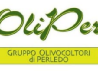 Oliper si è sciolta: si chiude un capitolo dell’olivicoltura perledese Oliper Perledo