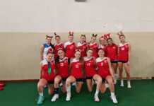 Volley. Serie D amara per Picco Lecco, mentre la C trova solidità e punti pesanti picco lecco serie D