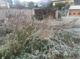 Rogeno. Volontari al lavoro con “Fiumi Sicuri” per la manutenzione dei corsi d’acqua