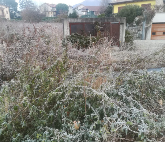 Rogeno. Volontari al lavoro con “Fiumi Sicuri” per la manutenzione dei corsi d’acqua