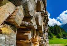 Filiera bosco-legno-energia: firmato un protocollo d’intesa per le energie agroforestali