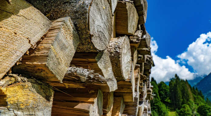 Filiera bosco-legno-energia: firmato un protocollo d’intesa per le energie agroforestali