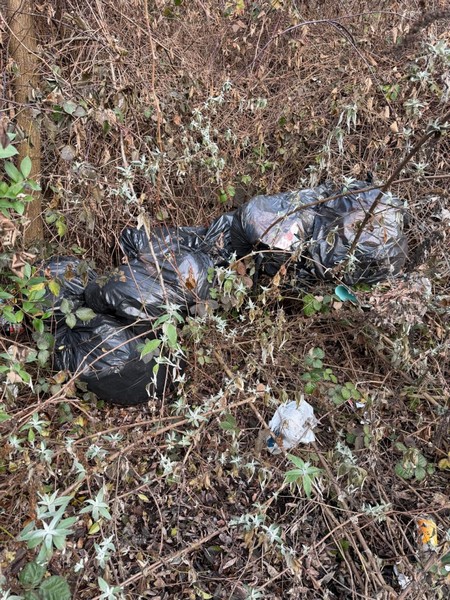 colico-rifiuti-attivita-straordinarie-pulizia