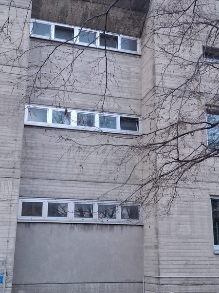 liceo manzoni linguistico finestre aperte