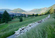 Cemento a Cavagna, Italia Nostra: “Perché dar spazio a questa ‘cattiva coscienza’? A vantaggio di chi?”