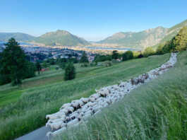 Lecco, variante al PGT: il dibattito su Cavagna approda in commissione