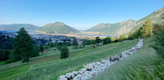 Cemento a Cavagna, Italia Nostra: “Perché dar spazio a questa ‘cattiva coscienza’? A vantaggio di chi?”