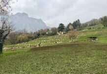 Niente edificazioni a Cavagna, accolte le richieste di associazioni e cittadini Variante PGT Cavagna Lecco 2026