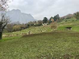 Niente edificazioni a Cavagna, accolte le richieste di associazioni e cittadini Variante PGT Cavagna Lecco 2026