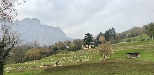 Niente edificazioni a Cavagna, accolte le richieste di associazioni e cittadini Variante PGT Cavagna Lecco 2026