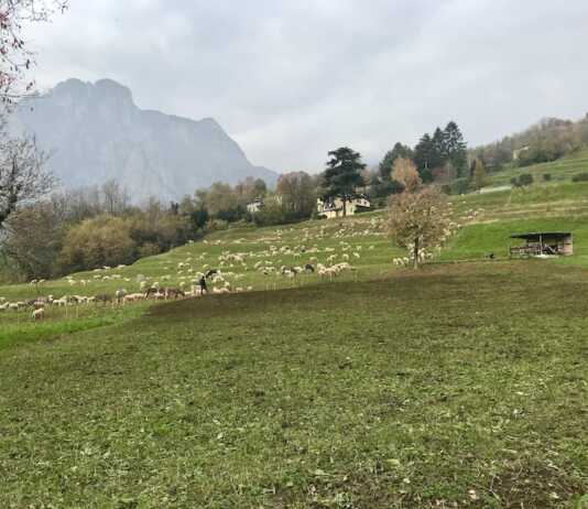 Niente edificazioni a Cavagna, accolte le richieste di associazioni e cittadini Variante PGT Cavagna Lecco 2026