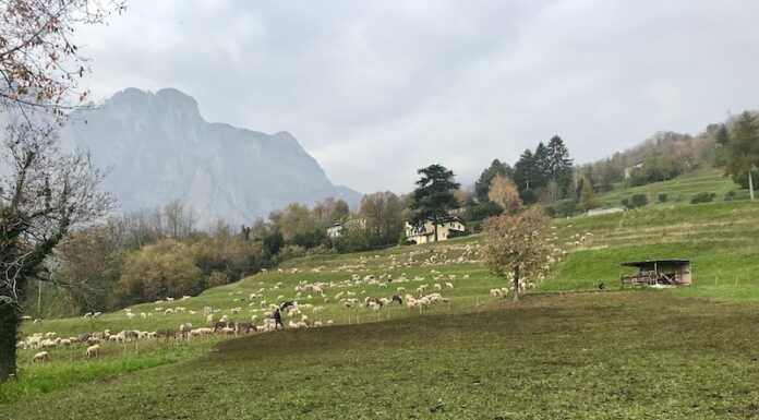 Cavagna nel PGT, il Circolo Ilaria Alpi chiede lo stralcio delle edificazioni Variante PGT Cavagna Lecco 2026