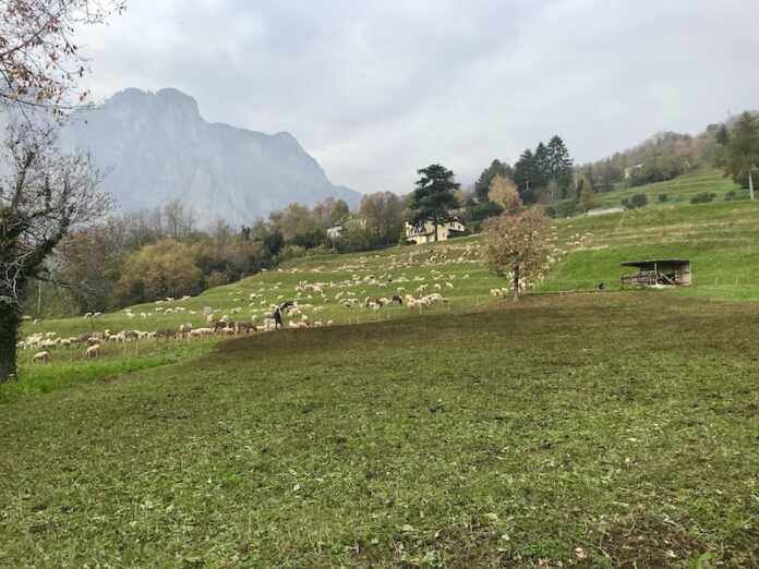 Variante PGT Cavagna Lecco 2026