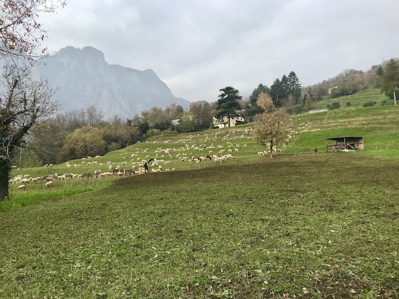 Variante PGT Cavagna Lecco 2026