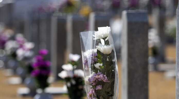 Malgrate, il sindaco chiude il cimitero per esumazioni ed estumulazioni Cimitero