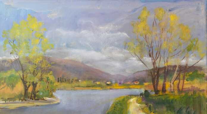 Merate, chiude con una visita guidata la mostra dedicata a Donato Frisia Junior