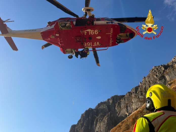 Drago vigili del fuoco (4) Drago vigili del fuoco