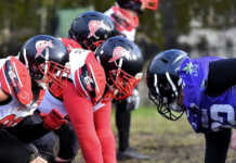 Football americano. Commandos Brianza, rimonta sfiorata Ello Commandos Brianza Vikings 20260129