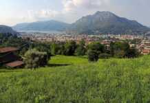 Il piccolo miracolo di Cavagna: dopo il lieto fine, la petizione supera le 20mila firme cavagna