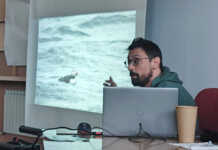 Merate, che spettacolo gli animali boreali: Simone Rigoni incanta alla Bamp