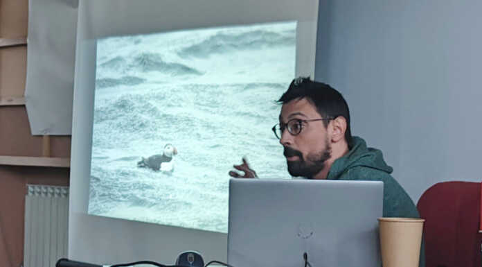 Merate, che spettacolo gli animali boreali: Simone Rigoni incanta alla Bamp