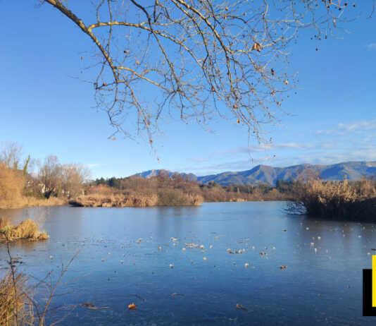 Merate, che spettacolo il lago di Sartirana ghiacciato