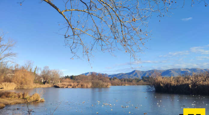Merate, che spettacolo il lago di Sartirana ghiacciato
