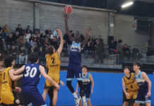 Basket Serie DR1. Basket Lecco travolgente a Morbegno Morbegno Basket Lecco 20260125