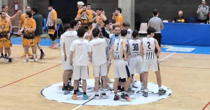 Olginate Bollini NPO 20260126 Olginate Bollini NPO 20260126