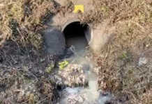 Sversamento sospetto nel torrente Bione: la segnalazione di un lettore Scarico torrente Bione
