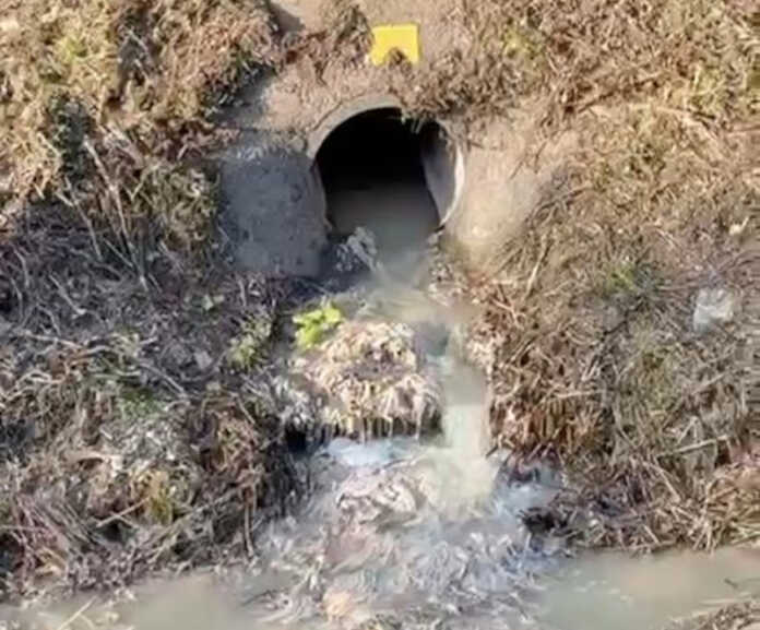 Scarico torrente Bione