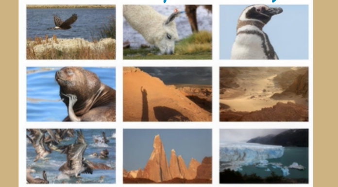 Montevecchia: in arrivo la proiezione fotografica sulla Patagonia e l’Altiplano Andino