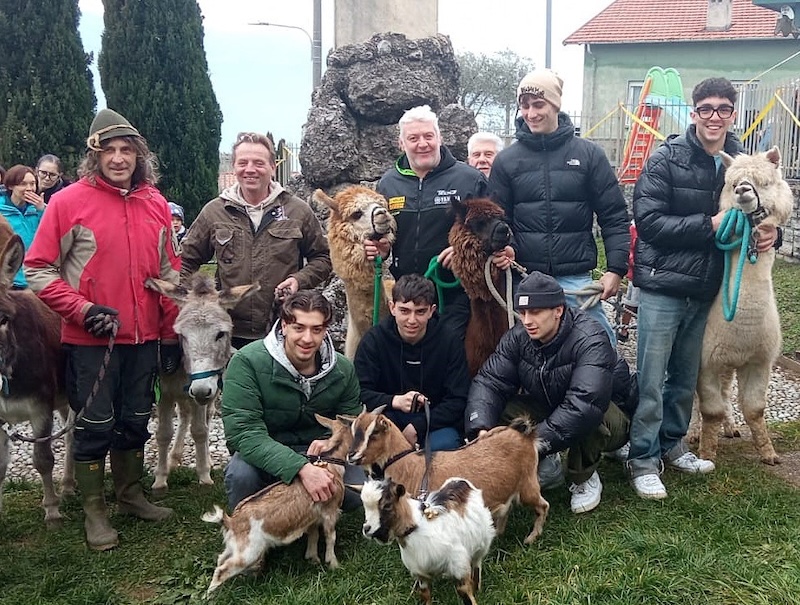 festa di sant'antonio crebbio