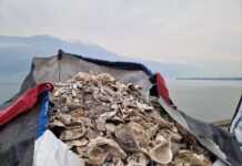 Qualità dell’aria, Lario Reti investe 500mila euro su Valmadrera e Colico lario reti holding 2026