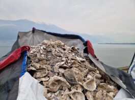 Qualità dell’aria, Lario Reti investe 500mila euro su Valmadrera e Colico lario reti holding 2026