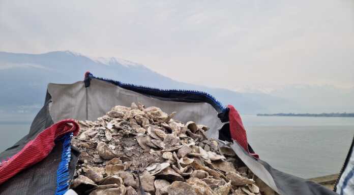 Qualità dell’aria, Lario Reti investe 500mila euro su Valmadrera e Colico lario reti holding 2026