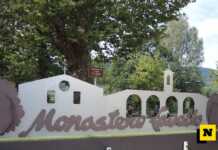 Taglio platani Monastero del Lavello, la diffida di Calolzio BeneComune