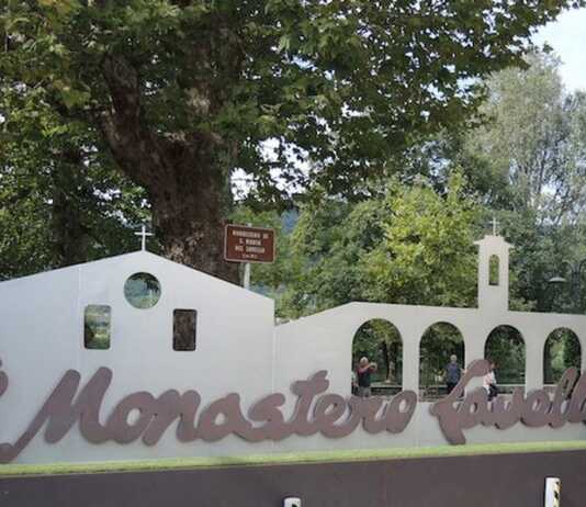 Taglio platani Monastero del Lavello, la diffida di Calolzio BeneComune