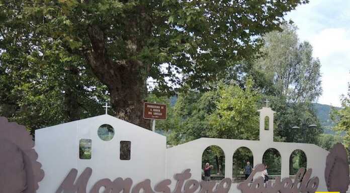 Taglio platani Monastero del Lavello, la diffida di Calolzio BeneComune