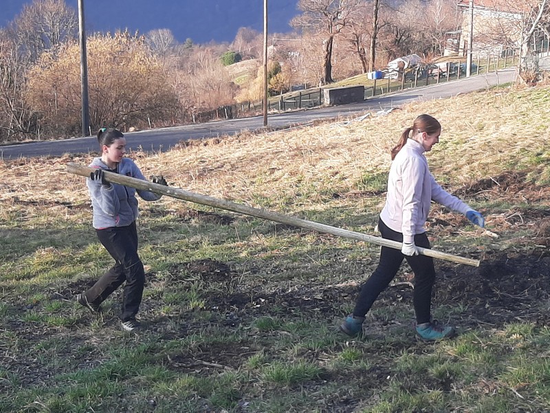 vendrogno-vigneto-recupero-terreno-abbandonato-radici-marco-polo-studenti