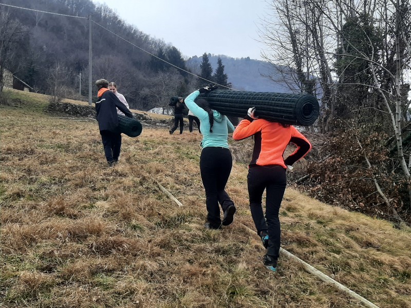 vendrogno-vigneto-recupero-terreno-abbandonato-radici-marco-polo-studenti