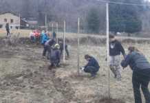 Da un terreno abbandonato nascerà un vigneto a Vendrogno vendrogno-vigneto-recupero-terreno-abbandonato-radici-marco-polo-studenti