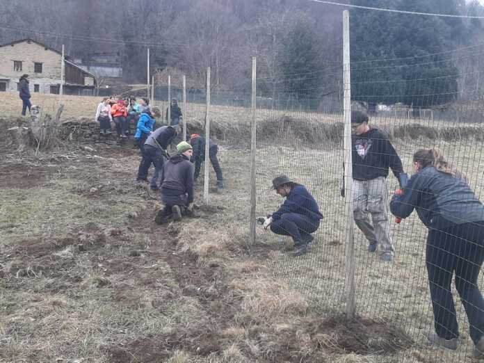 vendrogno-vigneto-recupero-terreno-abbandonato-radici-marco-polo-studenti