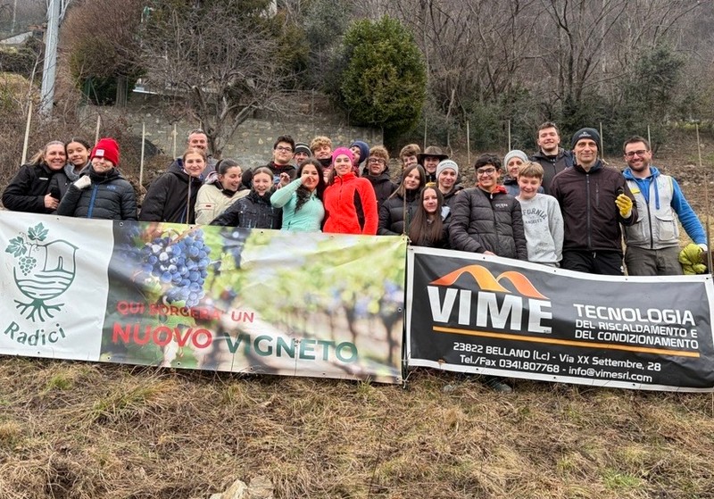 vendrogno-vigneto-recupero-terreno-abbandonato-radici-marco-polo-studenti