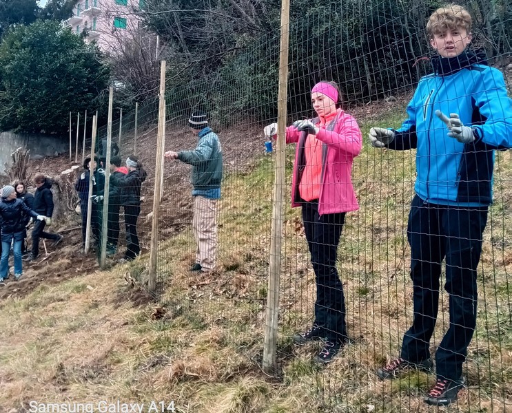vendrogno-vigneto-recupero-terreno-abbandonato-radici-marco-polo-studenti