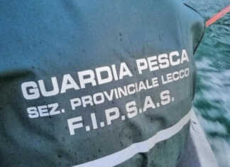Fipasas Lecco: nel 2025 ben 346 servizi dei guardia pesca volontari per 2.626 ore di attività