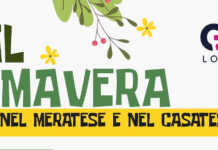 Nasce Util Primavera, un nuovo progetto per i giovani nel Meratese e nel Casatese
